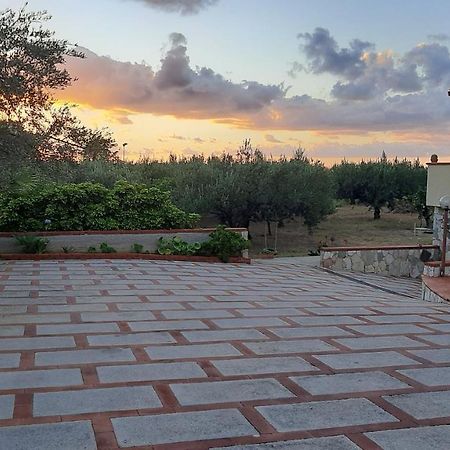 Casanonnavittoria Panzió Terrasini Kültér fotó