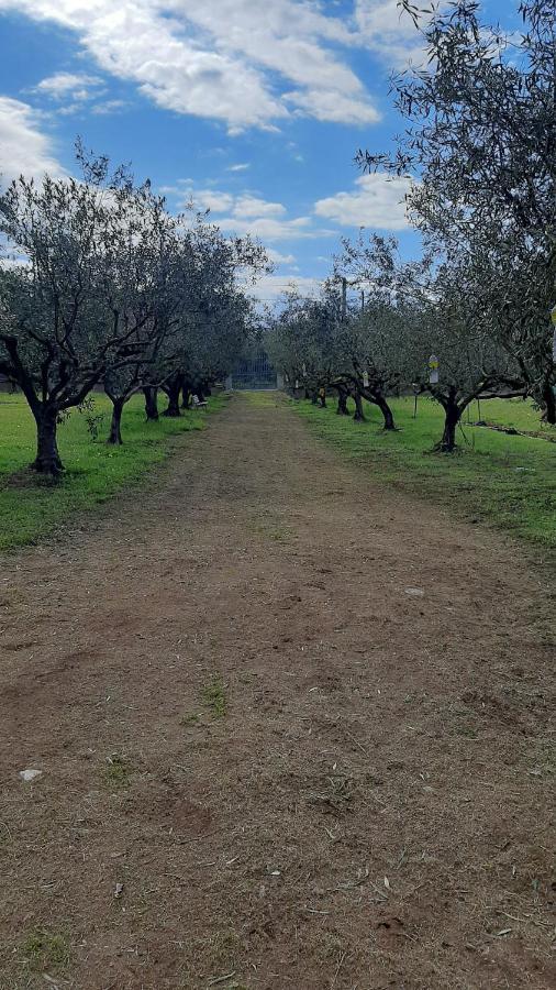 Casanonnavittoria Panzió Terrasini Kültér fotó